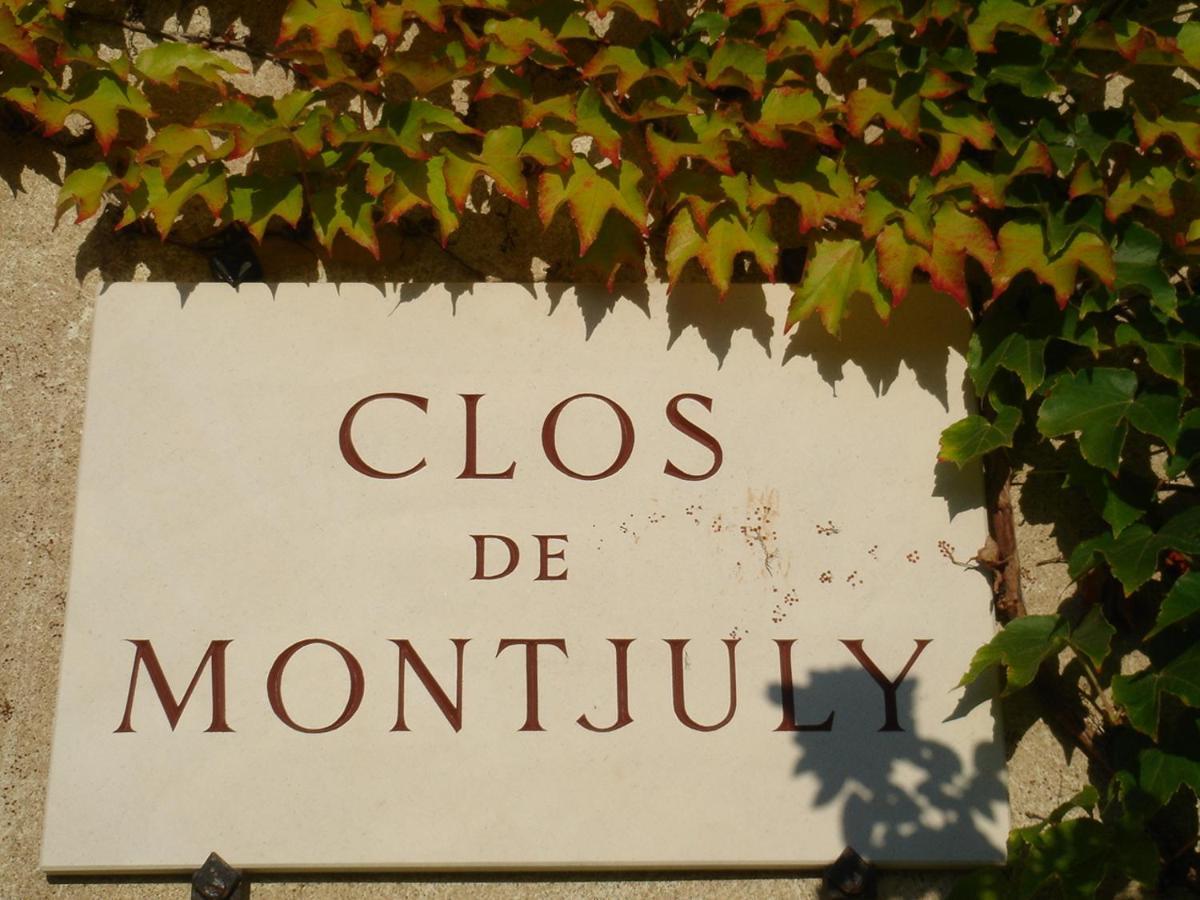 Clos De Mont July, Architecture Xviiie Au Coeur De La Nature Ceyzeriat Экстерьер фото
