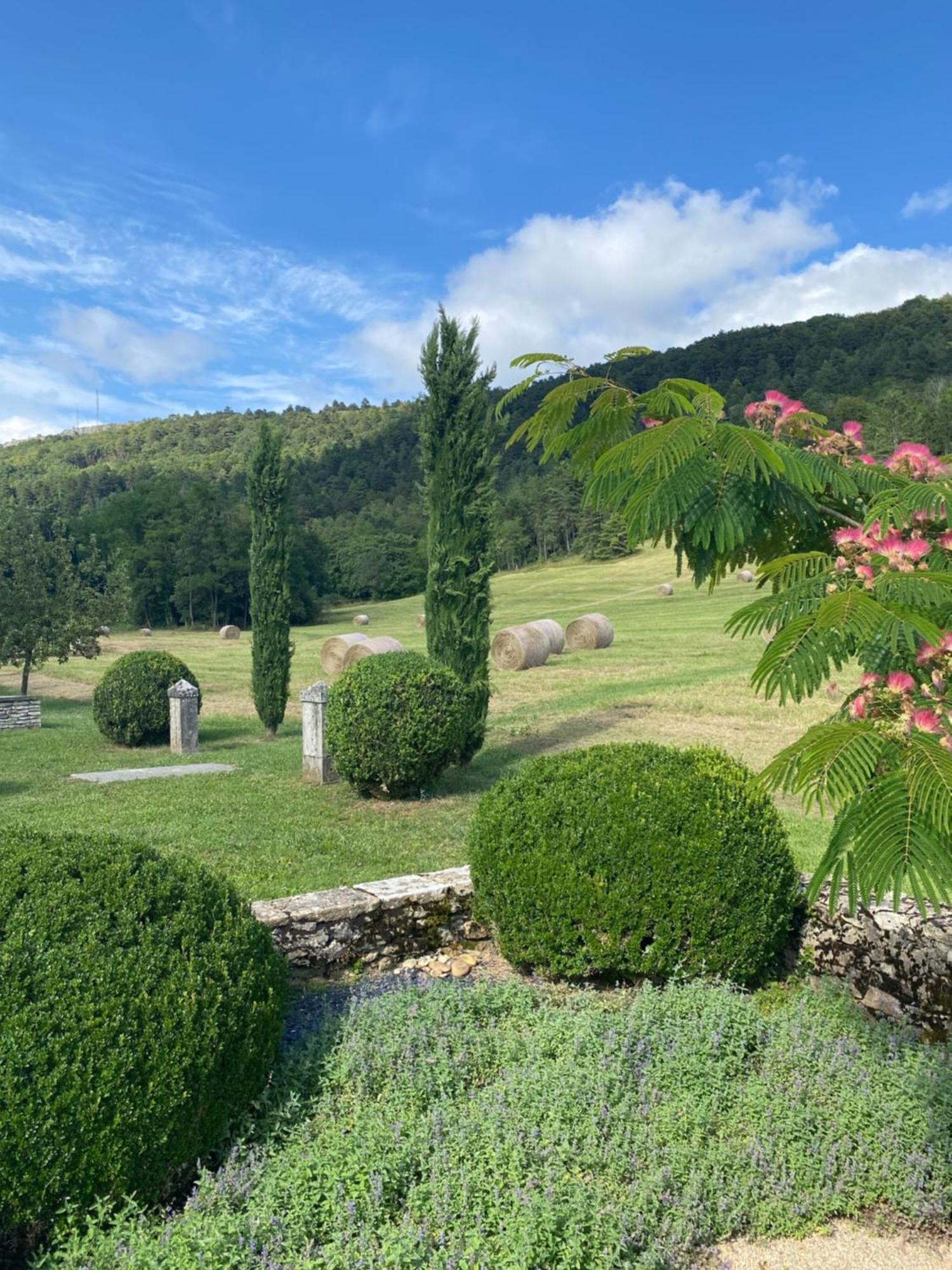 Clos De Mont July, Architecture Xviiie Au Coeur De La Nature Ceyzeriat Экстерьер фото